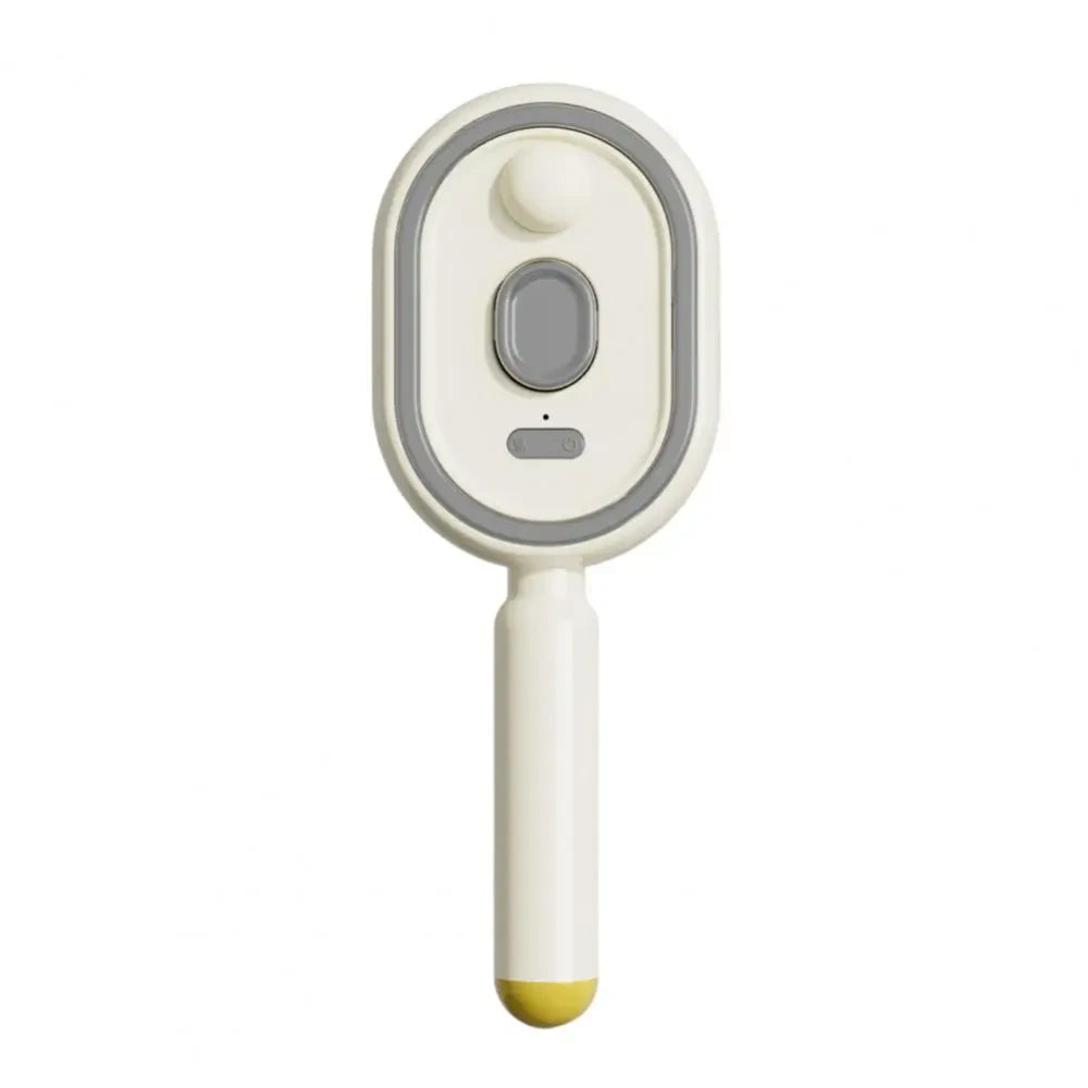 Electric Mist Hair Brush